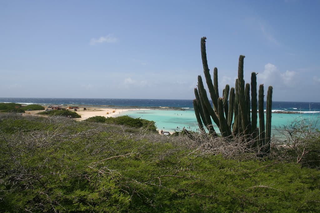 Bachelor’s Beach South Cove — photo by madmack66