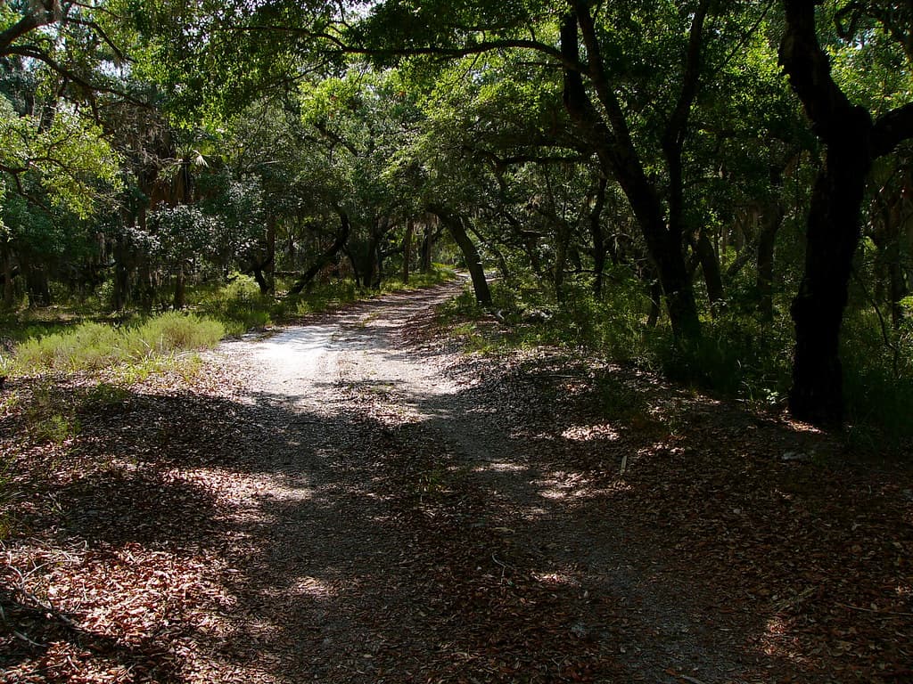 "A" Road Between the Gulf Beach and Oyster Pond