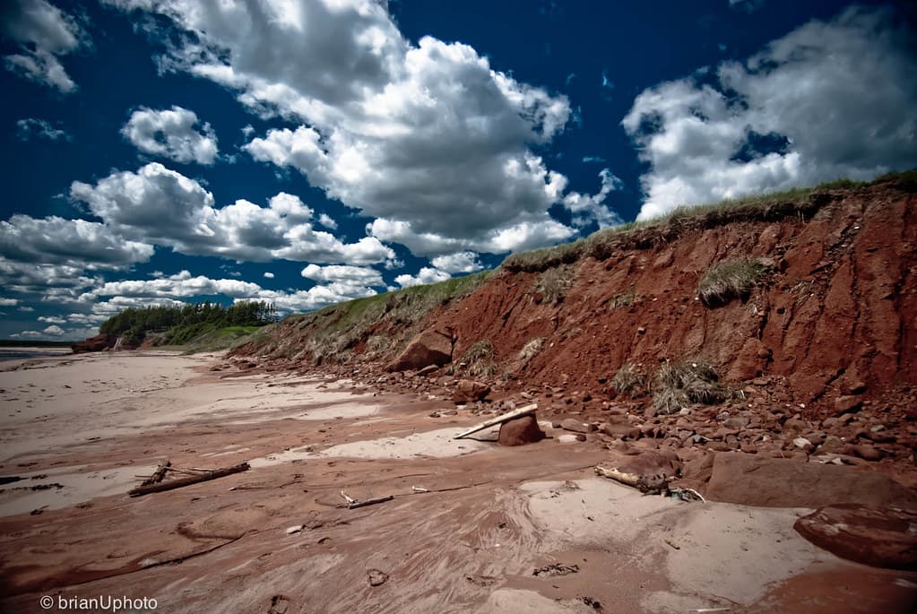 Panmure Island Beach (East Section)