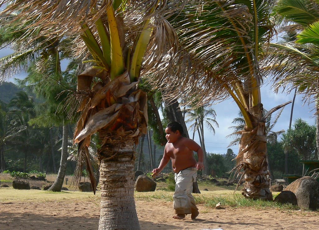 Littlest Hawaiian chasing a chicken