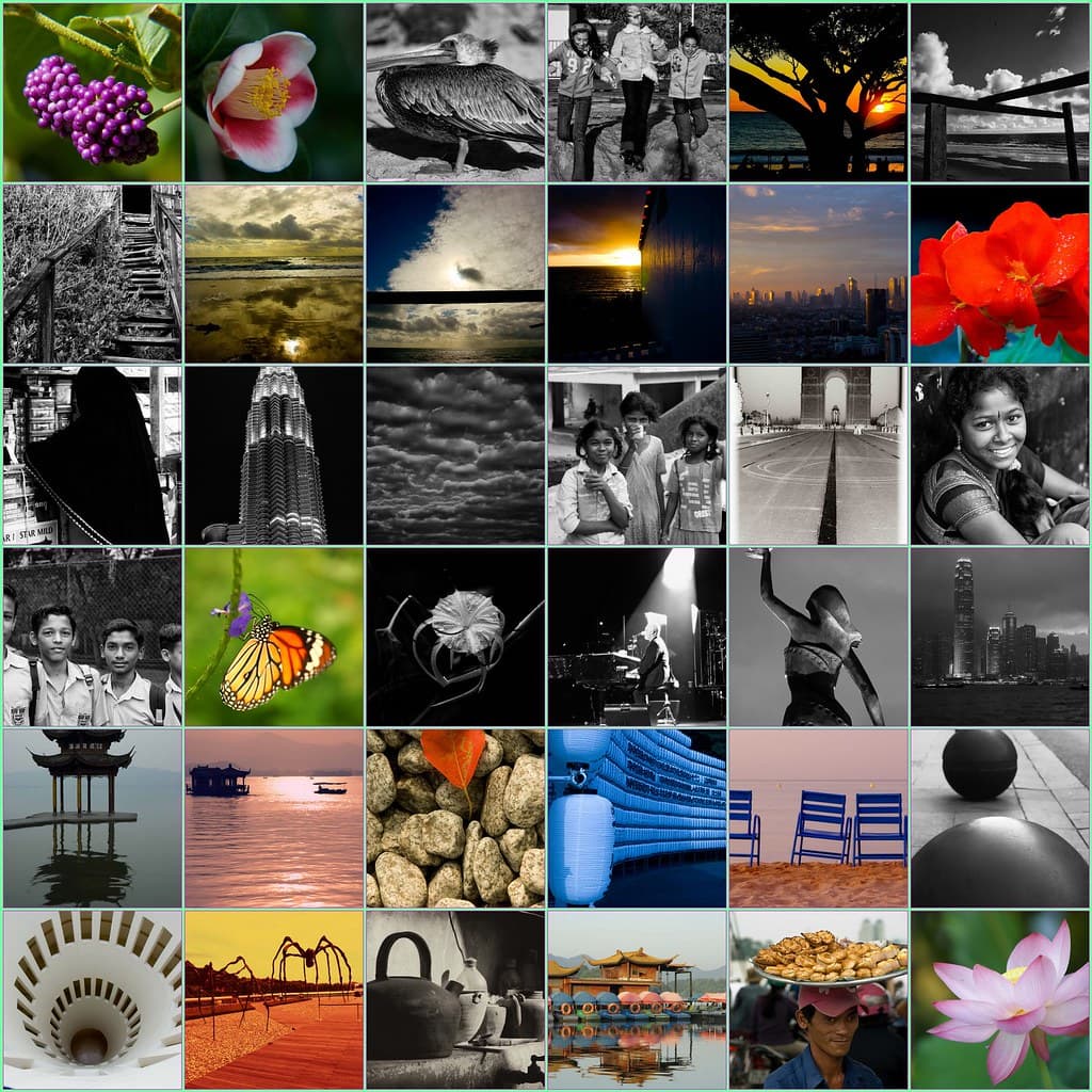 Slow Photo Day.....