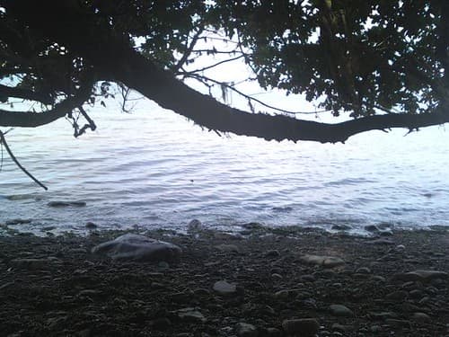 Murdoch beach, near Lyre River