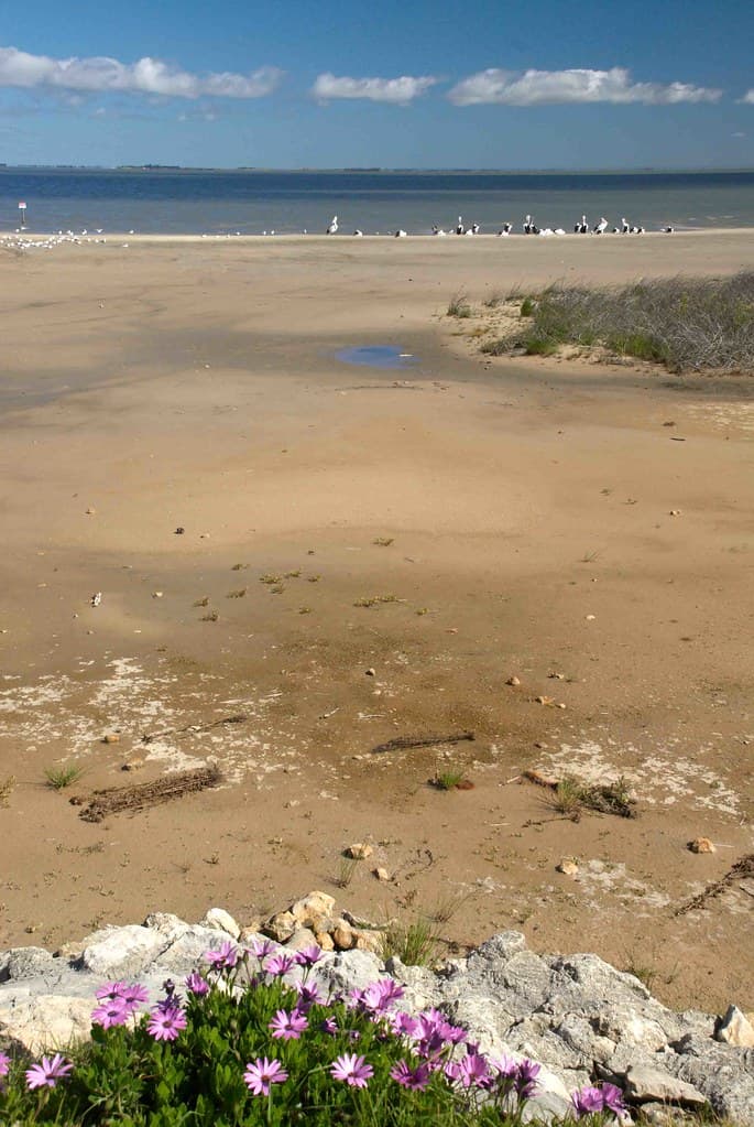 Lake Albert Beach