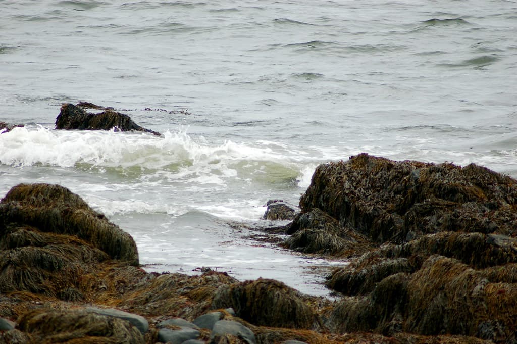 Odiorne Point Beach view 2