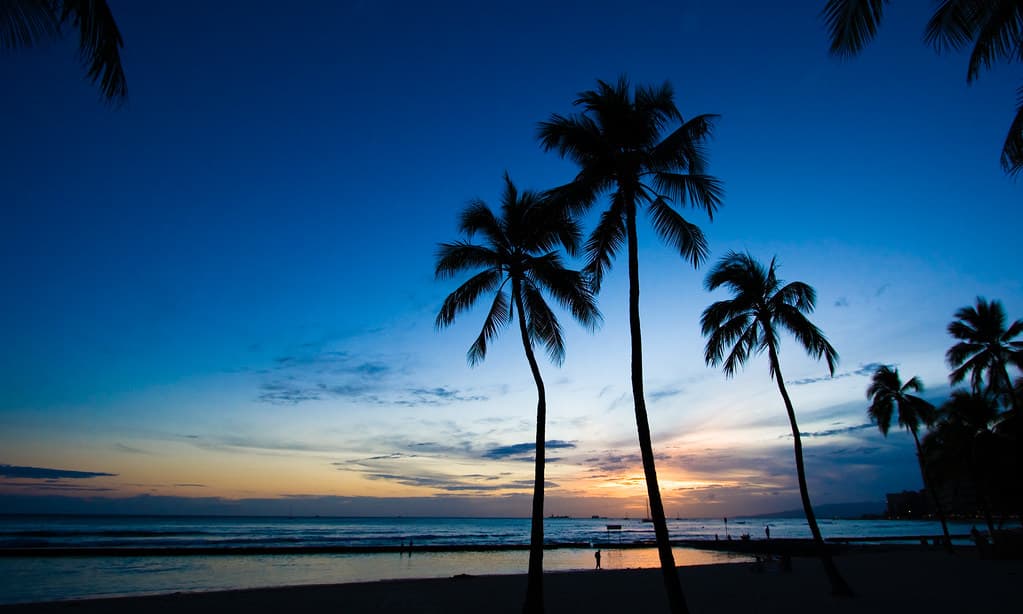 Waikiki sunset