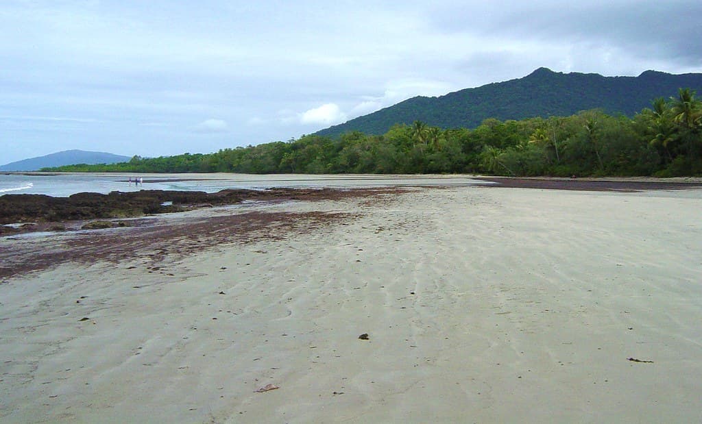 Busy Beach