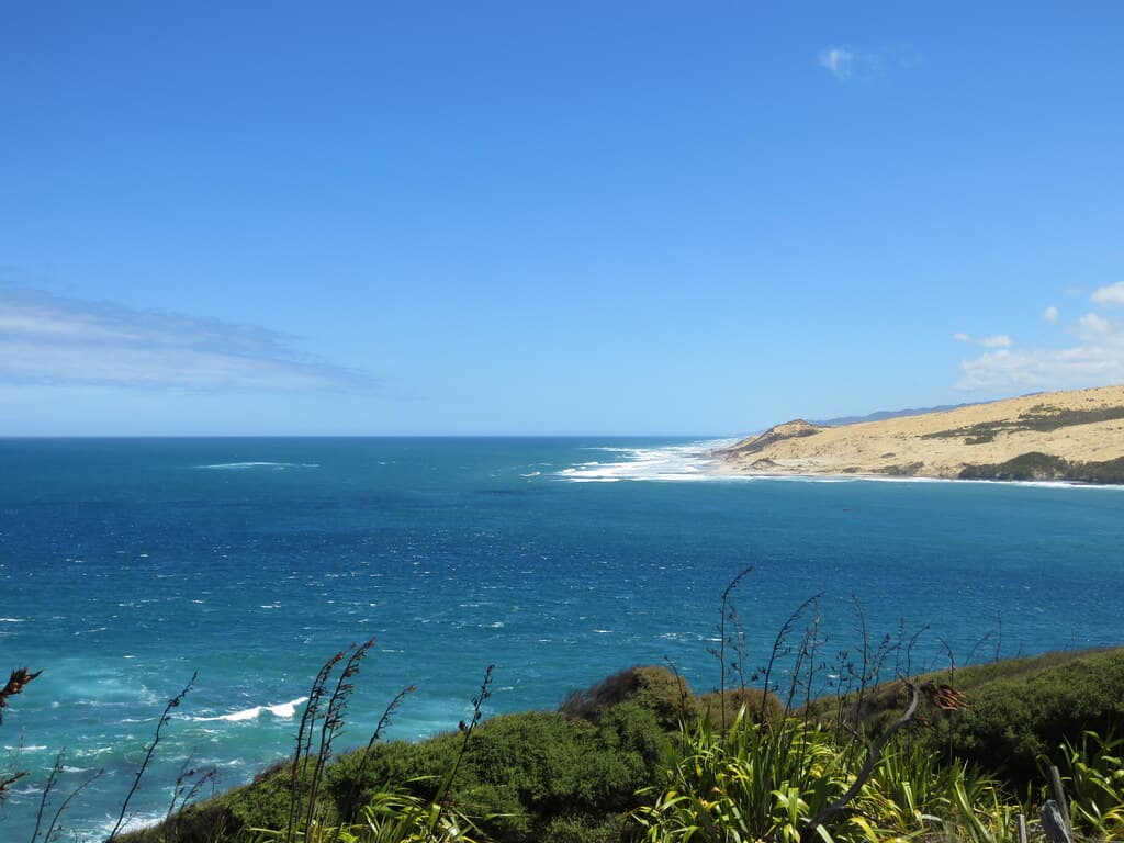 Waiotemarama Gorge Beach — photo by purdyrns
