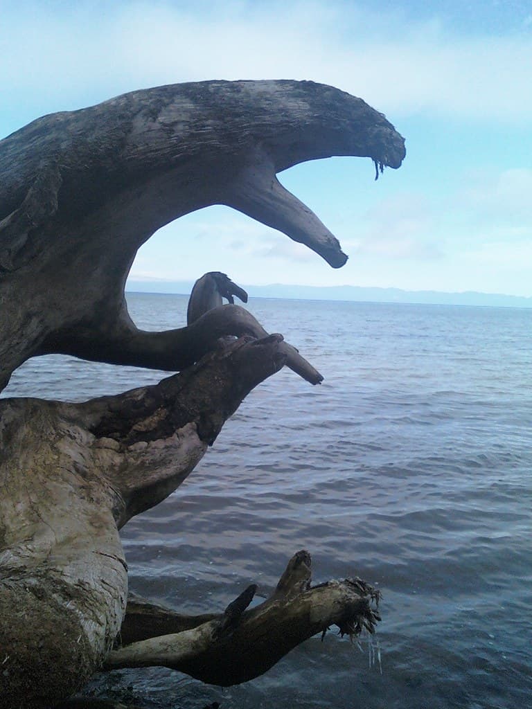 Murdoch beach, near Lyre River