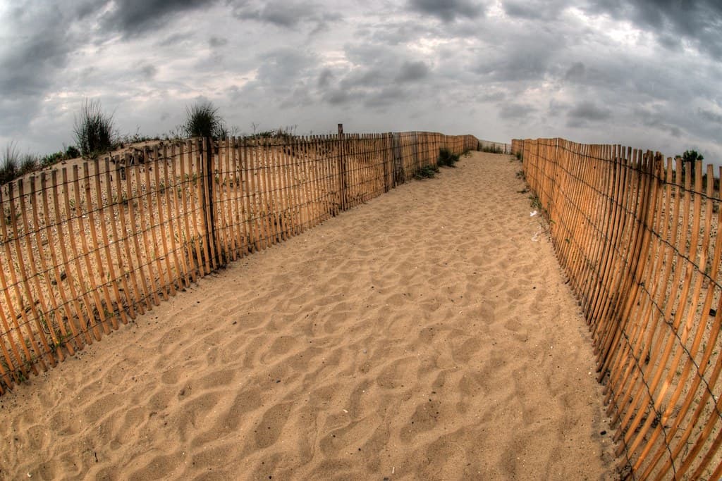 The Walk to Dewey Beach