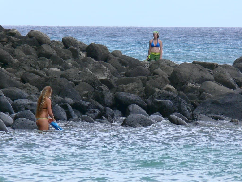 Bikini divers