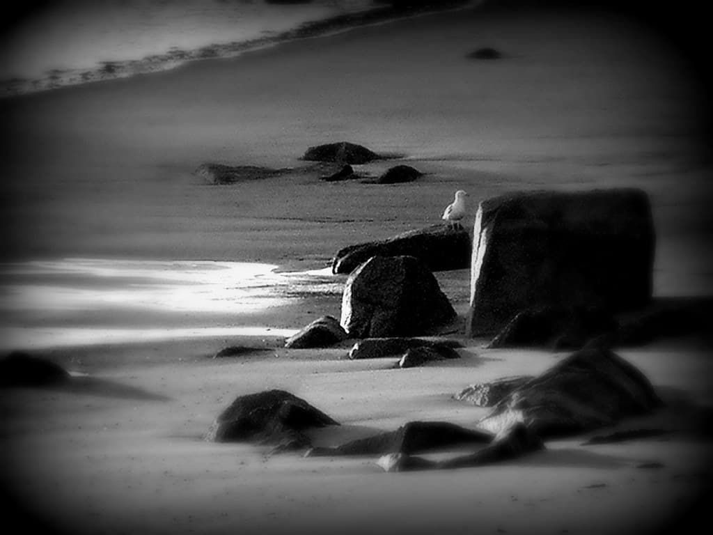 Rockport Beach at Dawn