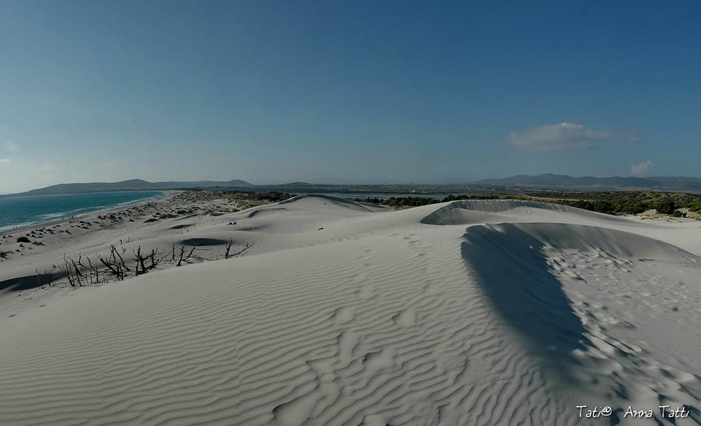 West Beach (Gulf Shores)