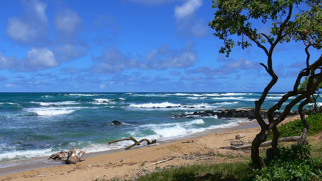 Lydgate State Park