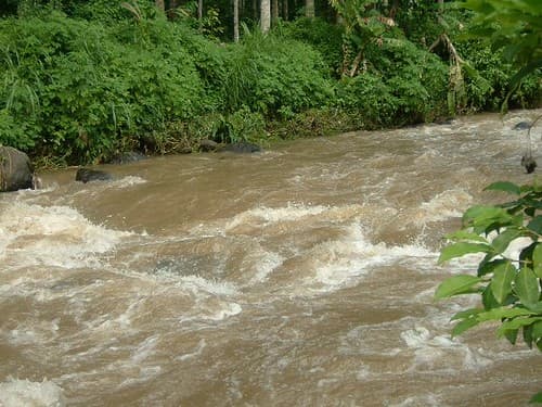 Typical of river at Sukamade