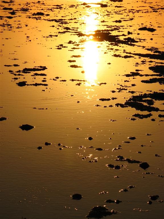 Sunset reflection over reef
