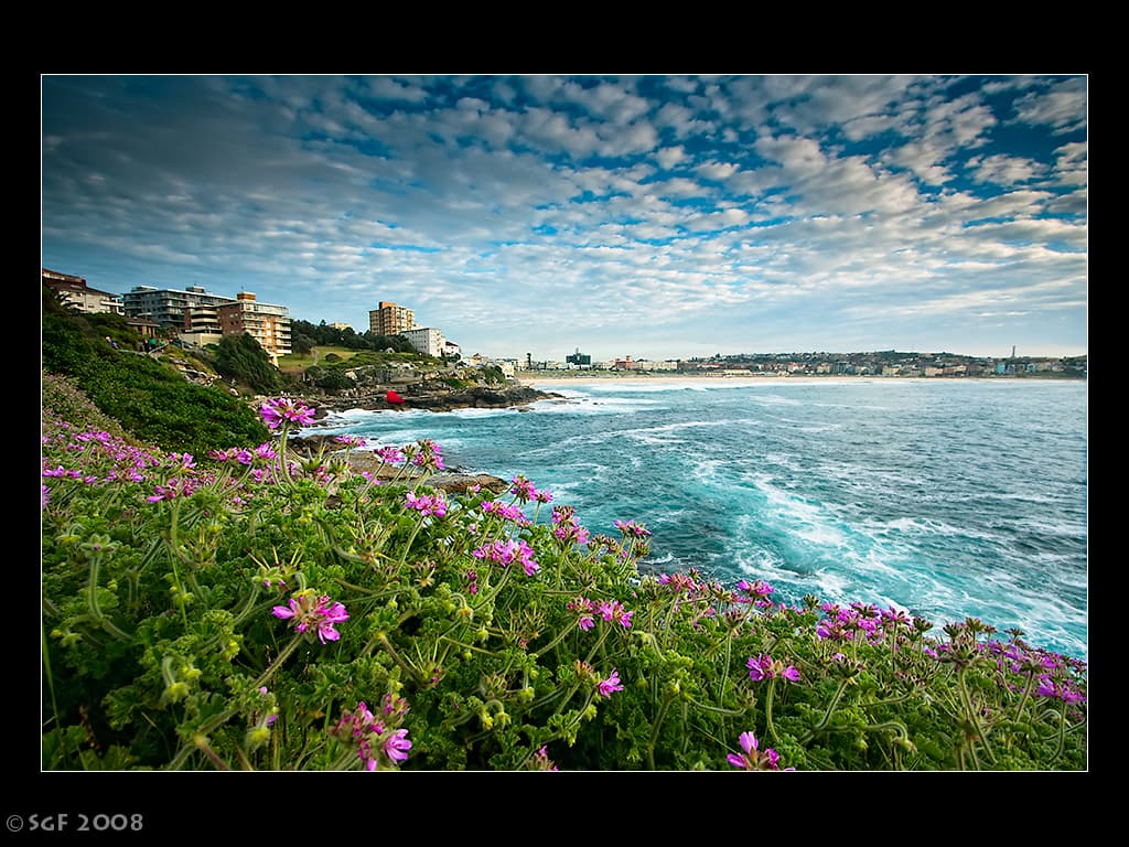 Bondi on a spring Morning
