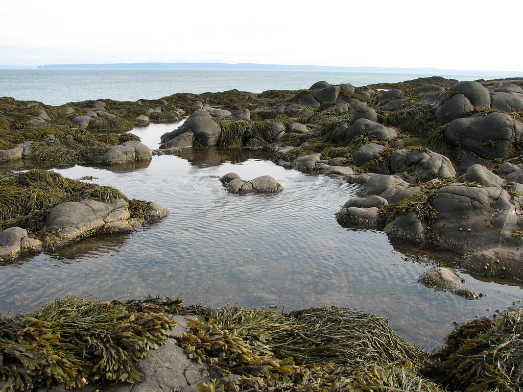 Halls Harbour Beach — photo by newminaswilders