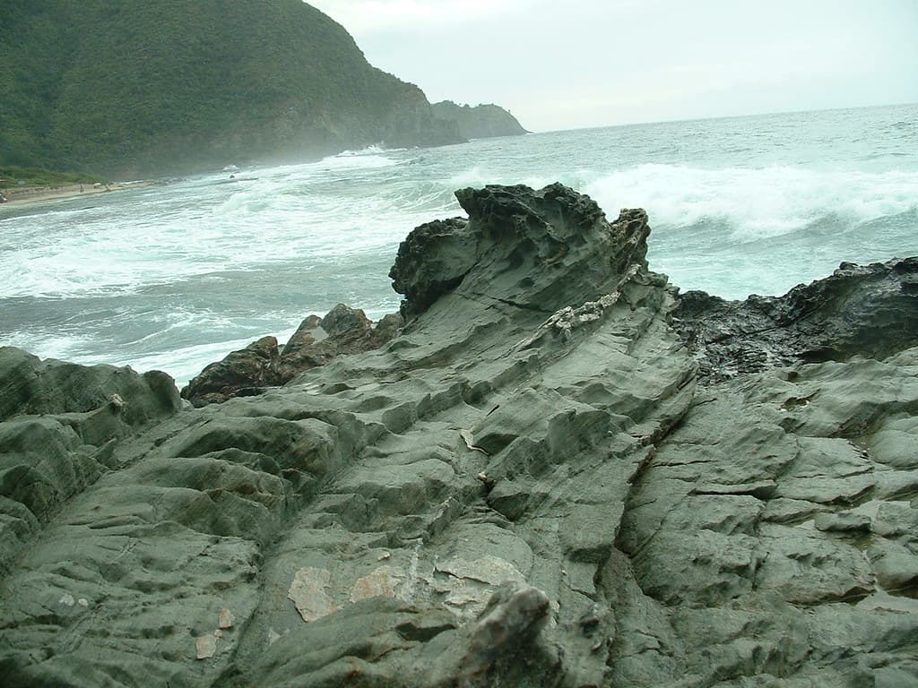 Playa Café