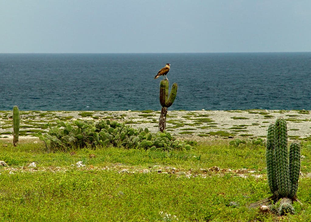 Boca Prins Beach — photo by Serge Melki