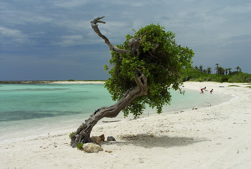 Bachelor’s Beach South Cove — photo by Serge Melki