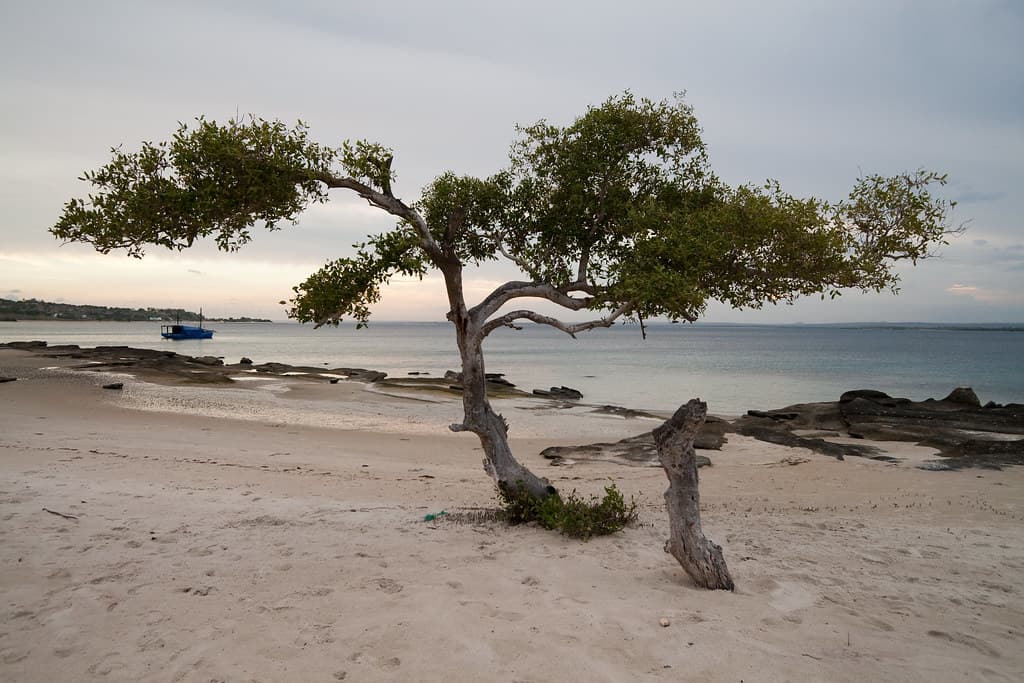 Fernão Veloso Bay Beach — photo by Stig Nygaard