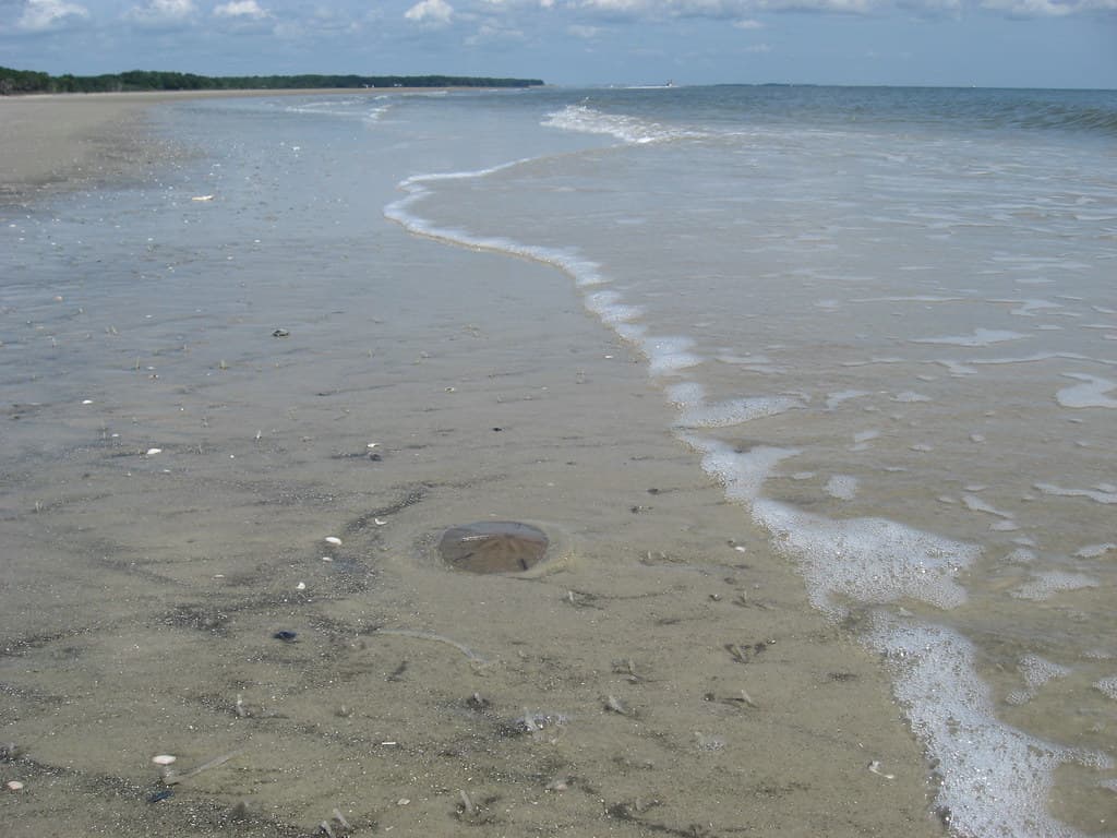 Beneath the Sand