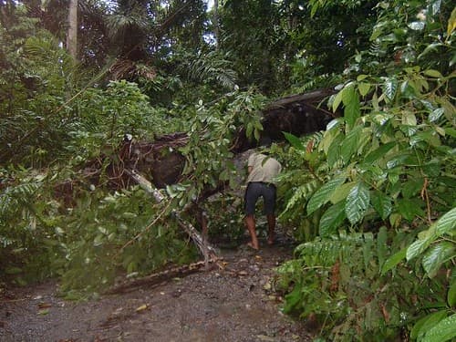 Road block while touring to Sukamade Turtle Beach