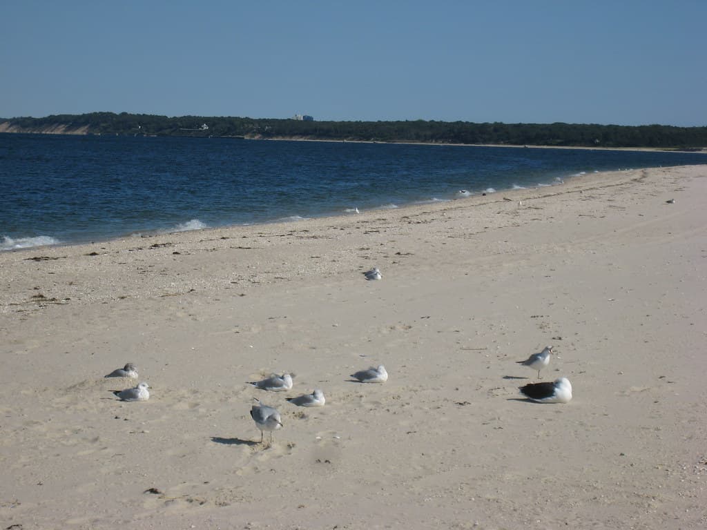 Sunken Meadow Beach