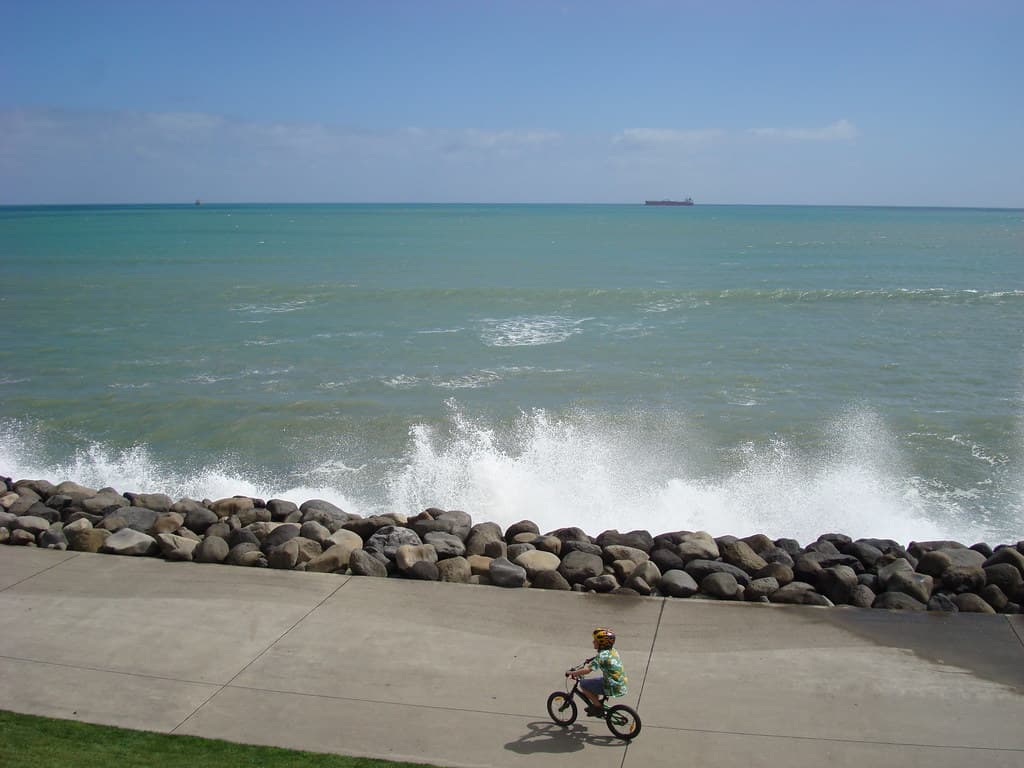 New Plymouth 41