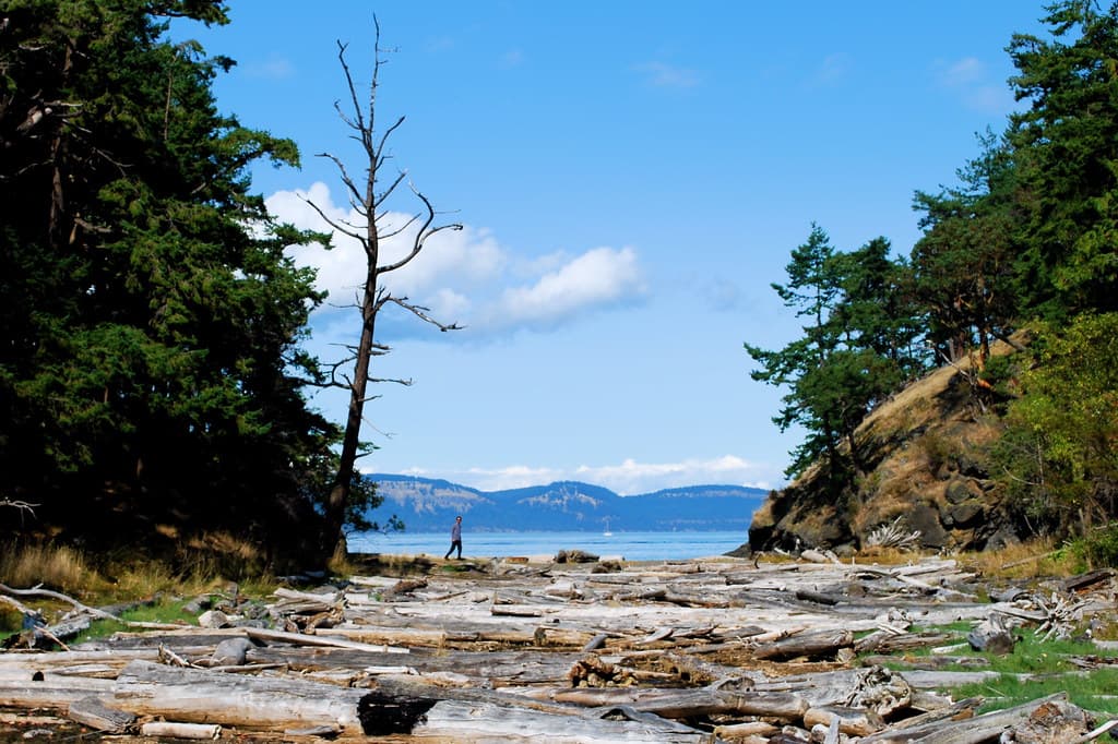 Sidney Spit Beach — photo by M.V. Jantzen