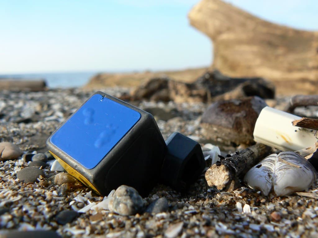 The strangest things wash up...