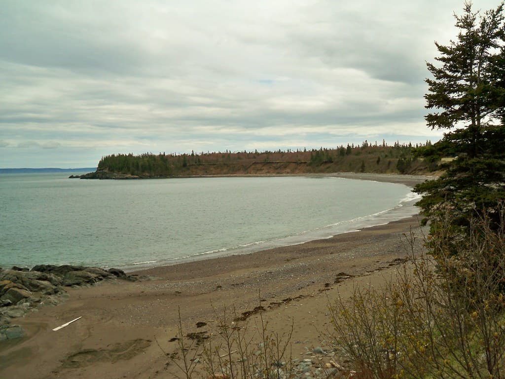 Laurel Island Shoreline Beach