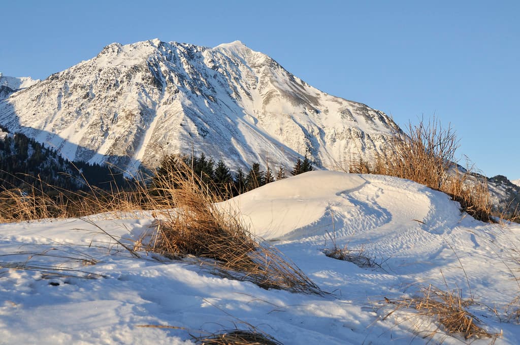 Iron Mountain