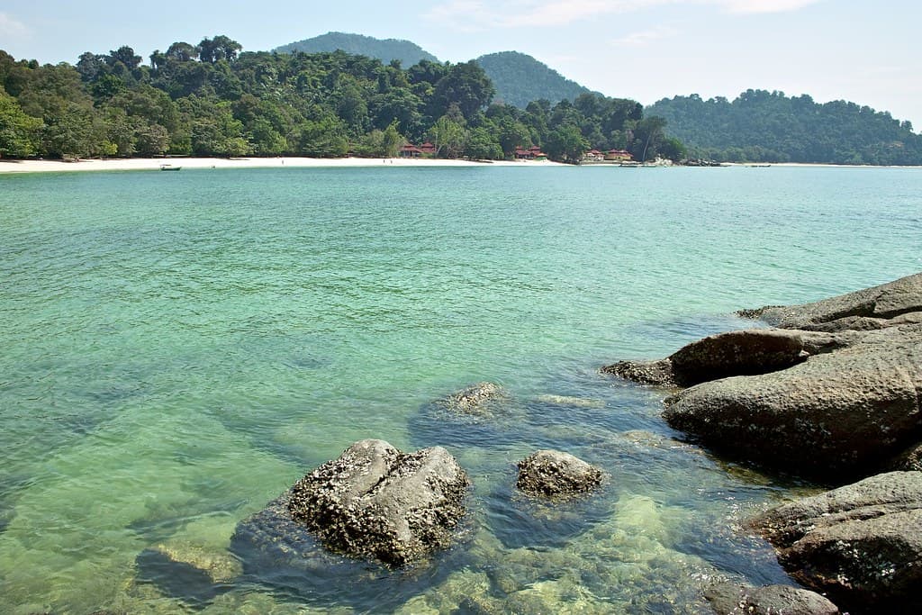 A place for a swim