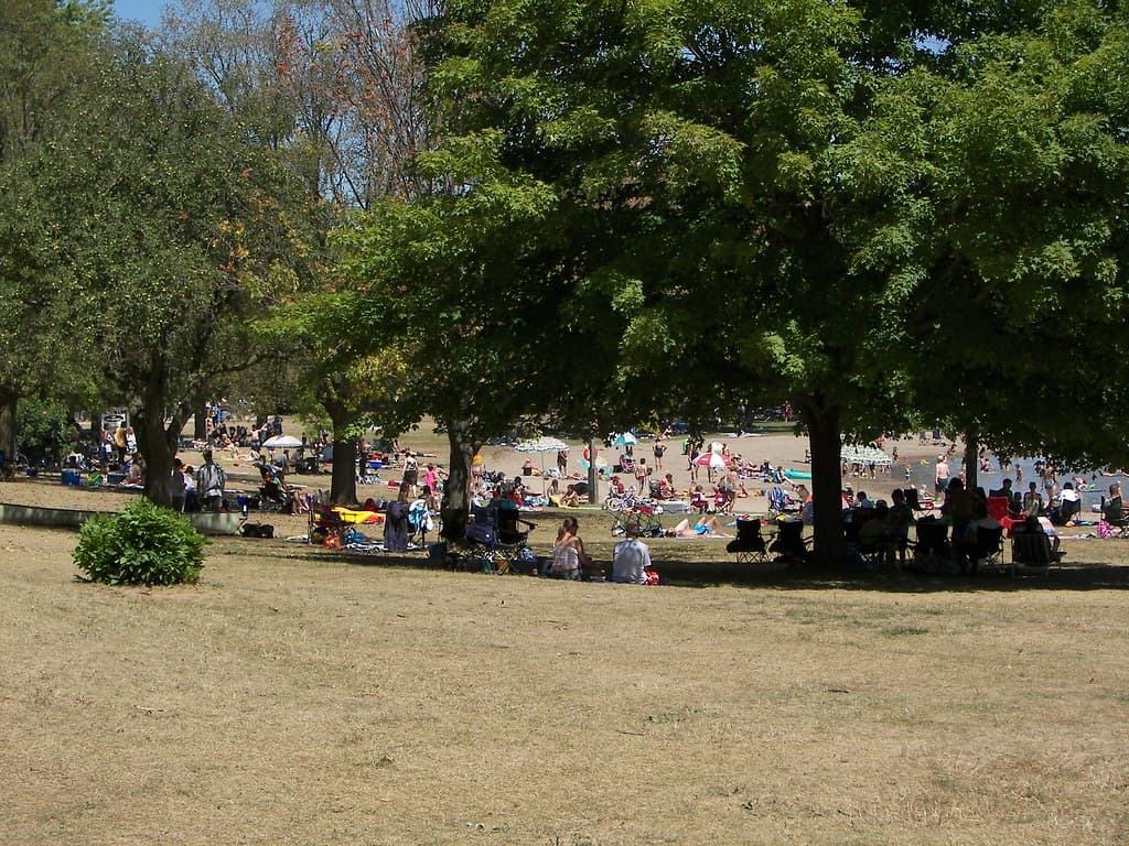 The beach is a busy place in the hot summer months