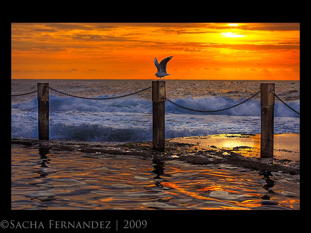 Landing at Mahon Pool