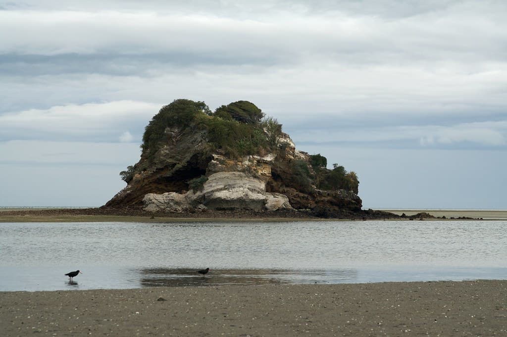 Pakawau Beach — photo by Aaron Jacobs