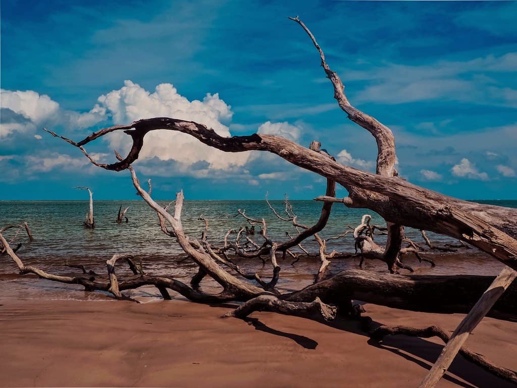Reaching For It at Big Talbot