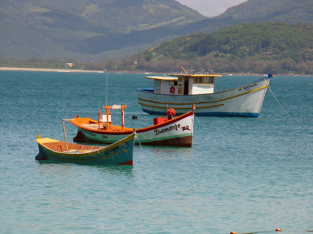 Ilha do Campeche