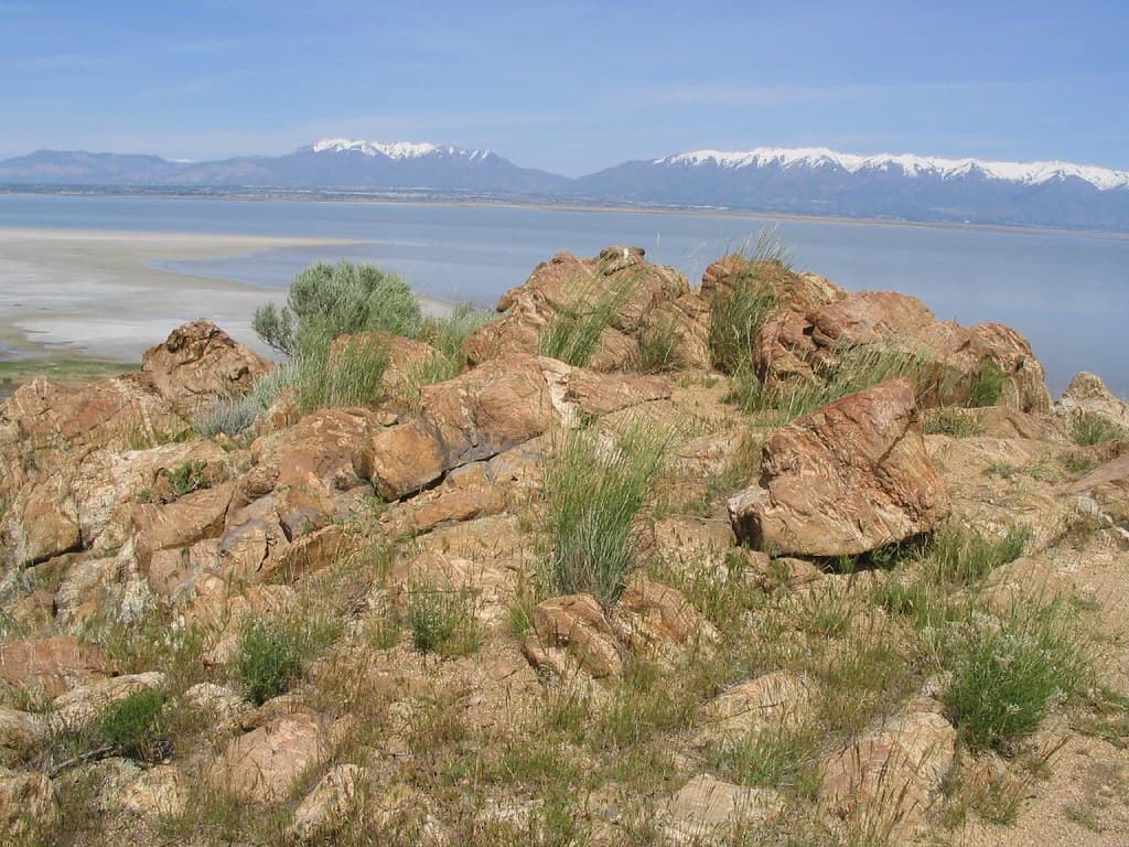 Great Salt Lake from Antelope Island State Park, Utah