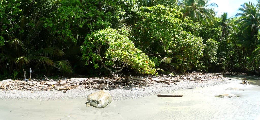 Playa Panica — photo by Nyall & Maryanne