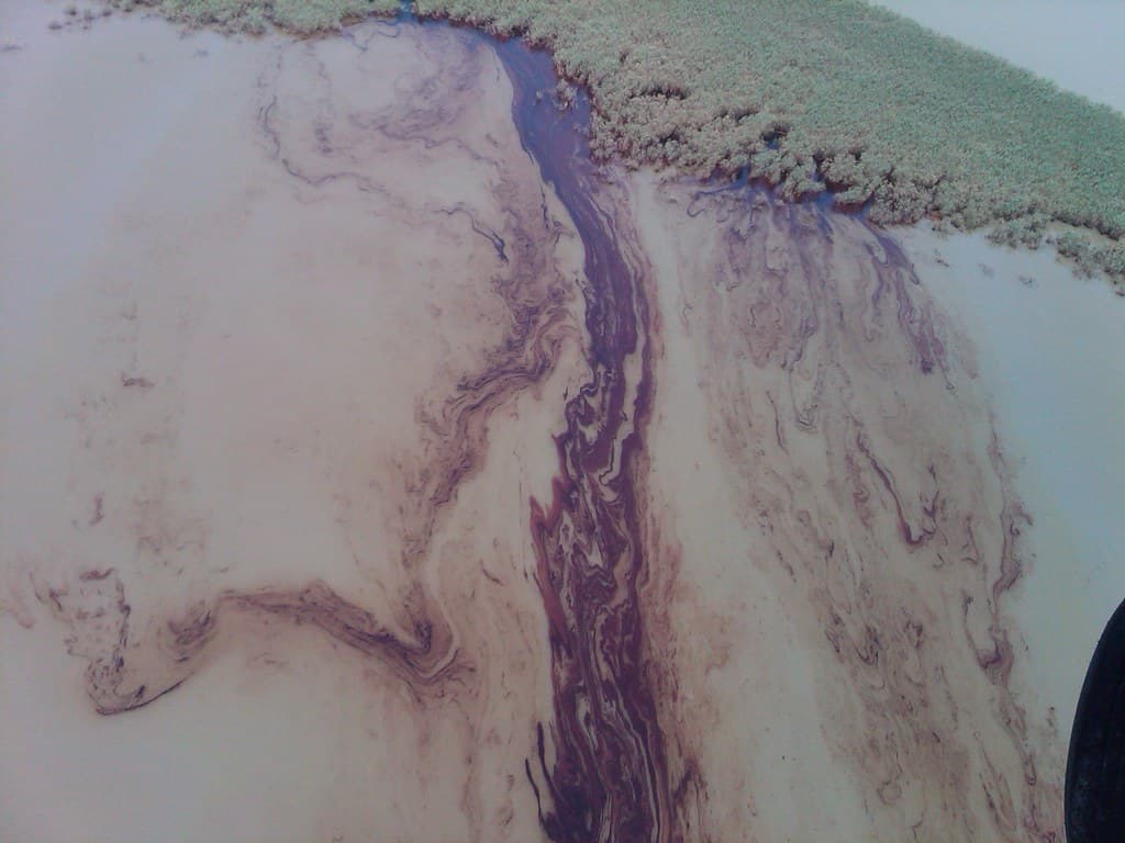 Pass-a-Loutre Beach