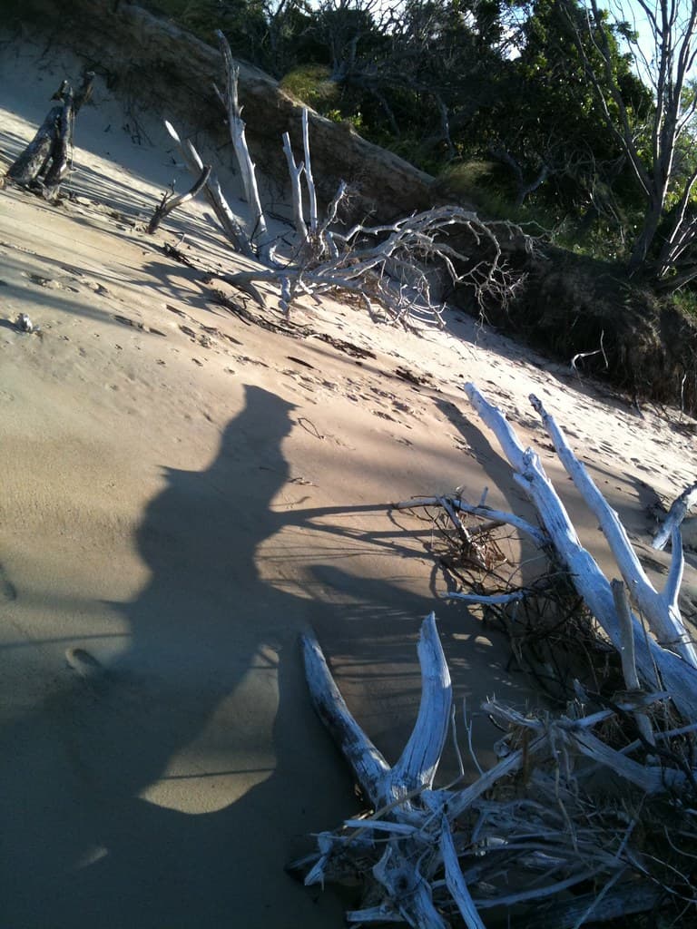 Driftwood Tannum Sands Beach