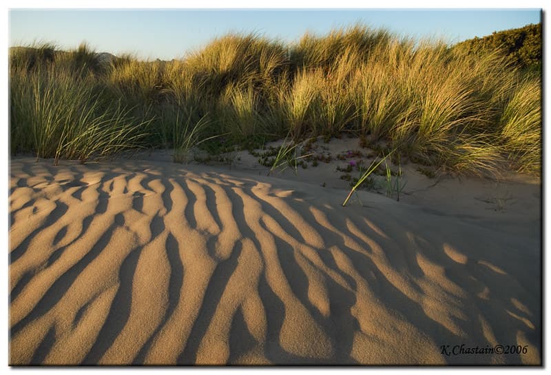 Pismo Dunes, CA