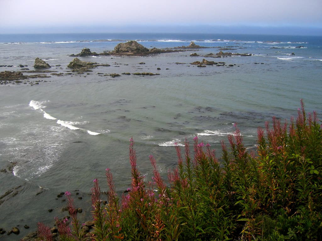 Cape Arago Beach view 2