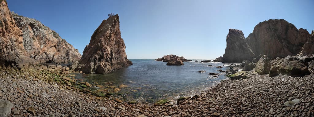 The Pirate Bay