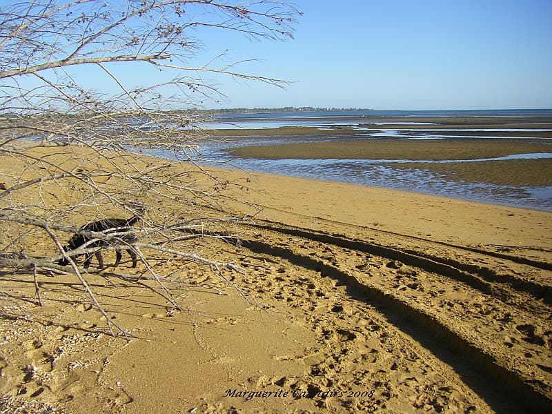 Low Tide Sands