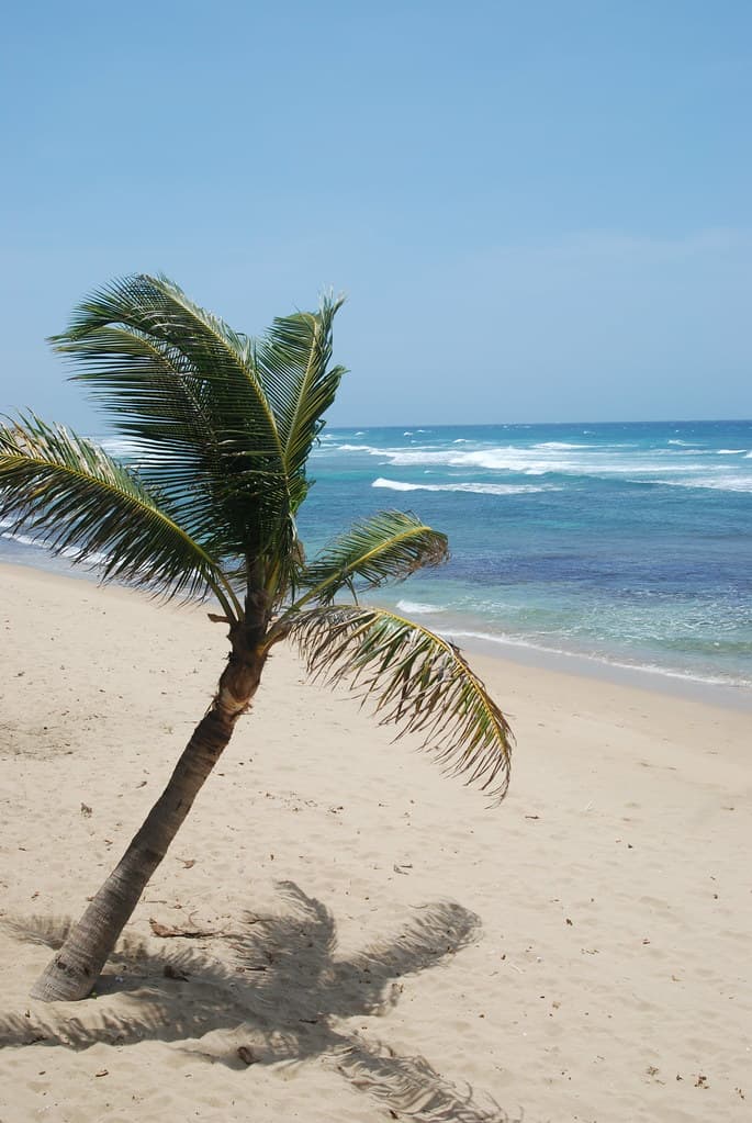 Shore Island Beach — photo by pixelyne