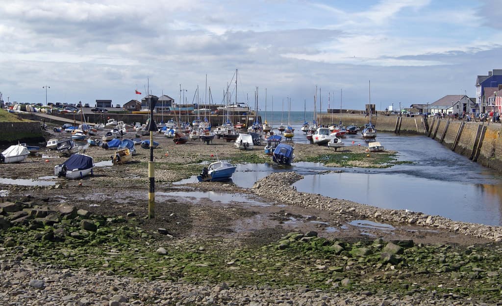 New Quay Beach — photo by Dave Hamster