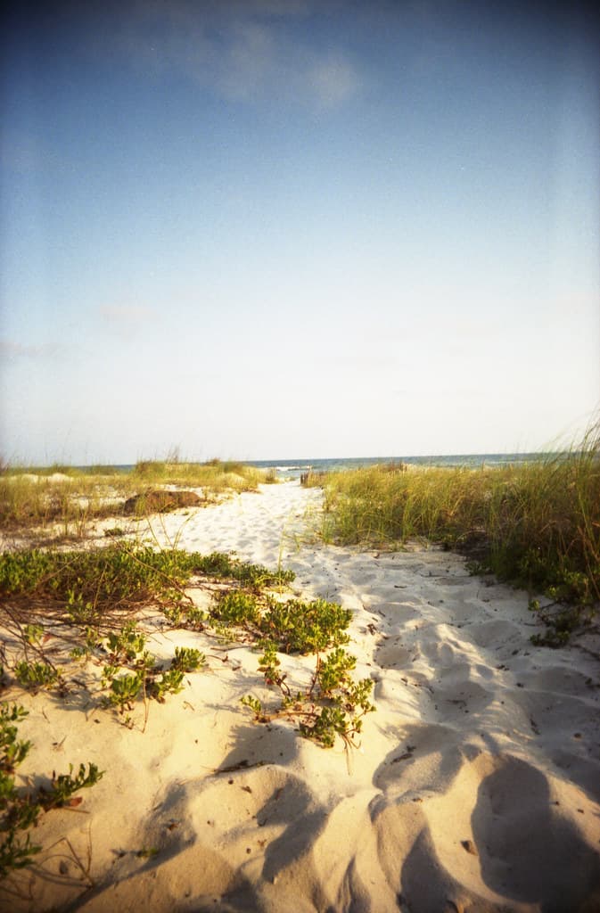 going to the beach